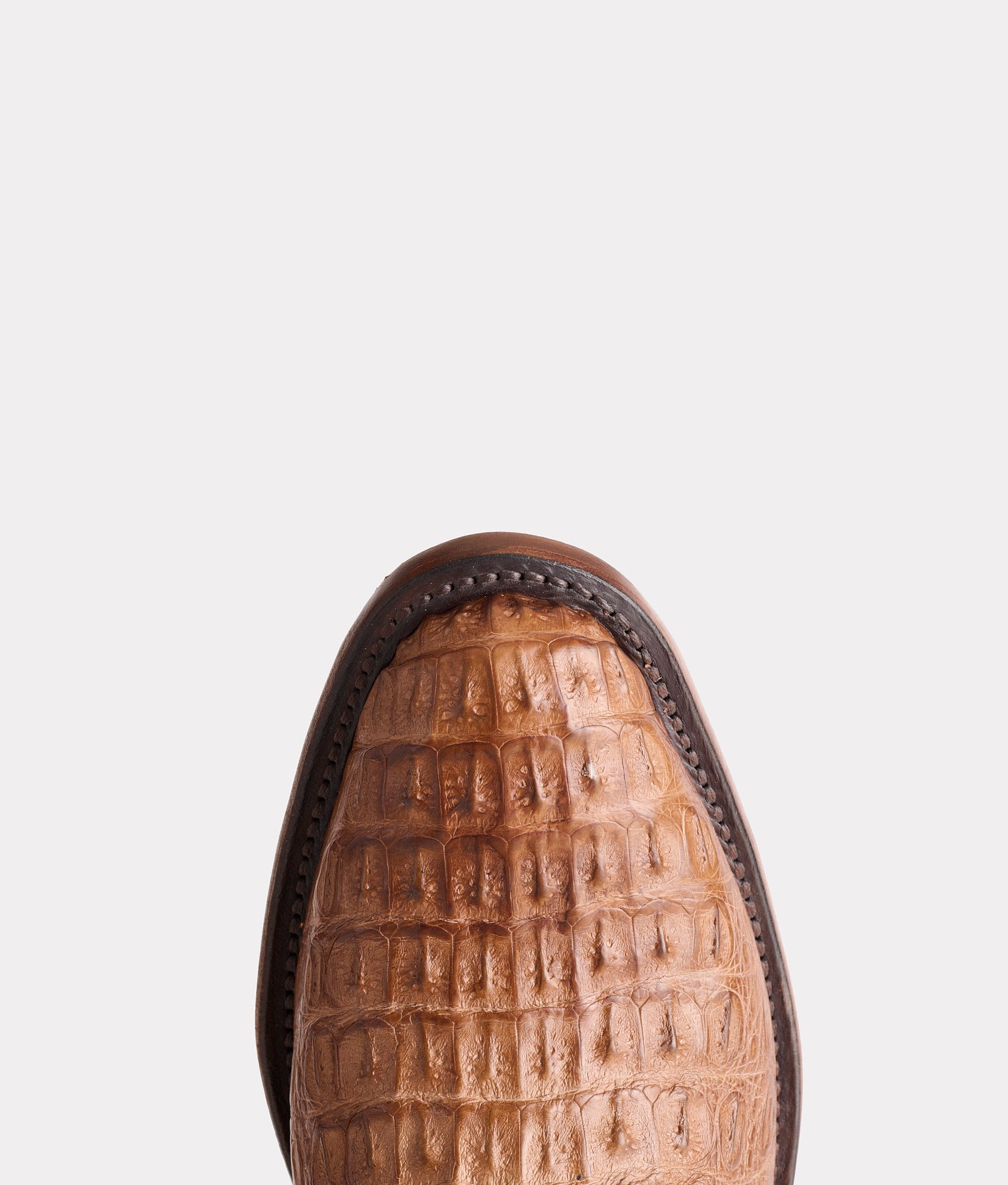 Walter :: Tan - Image 7