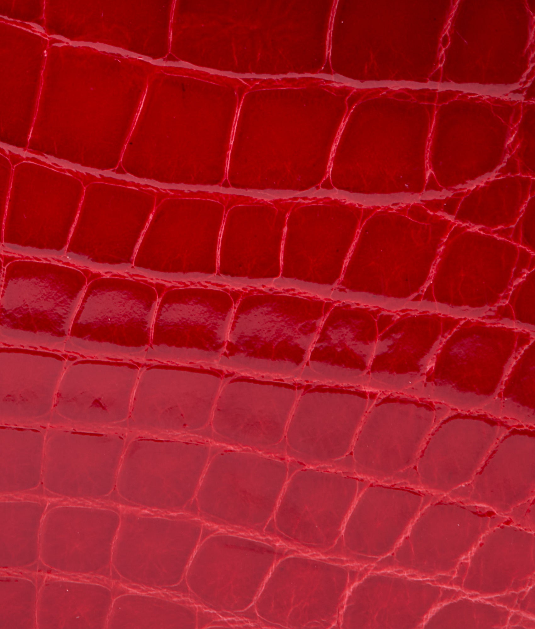 Dolly Exotic Western Satchel :: Cherry Red - Image 9
