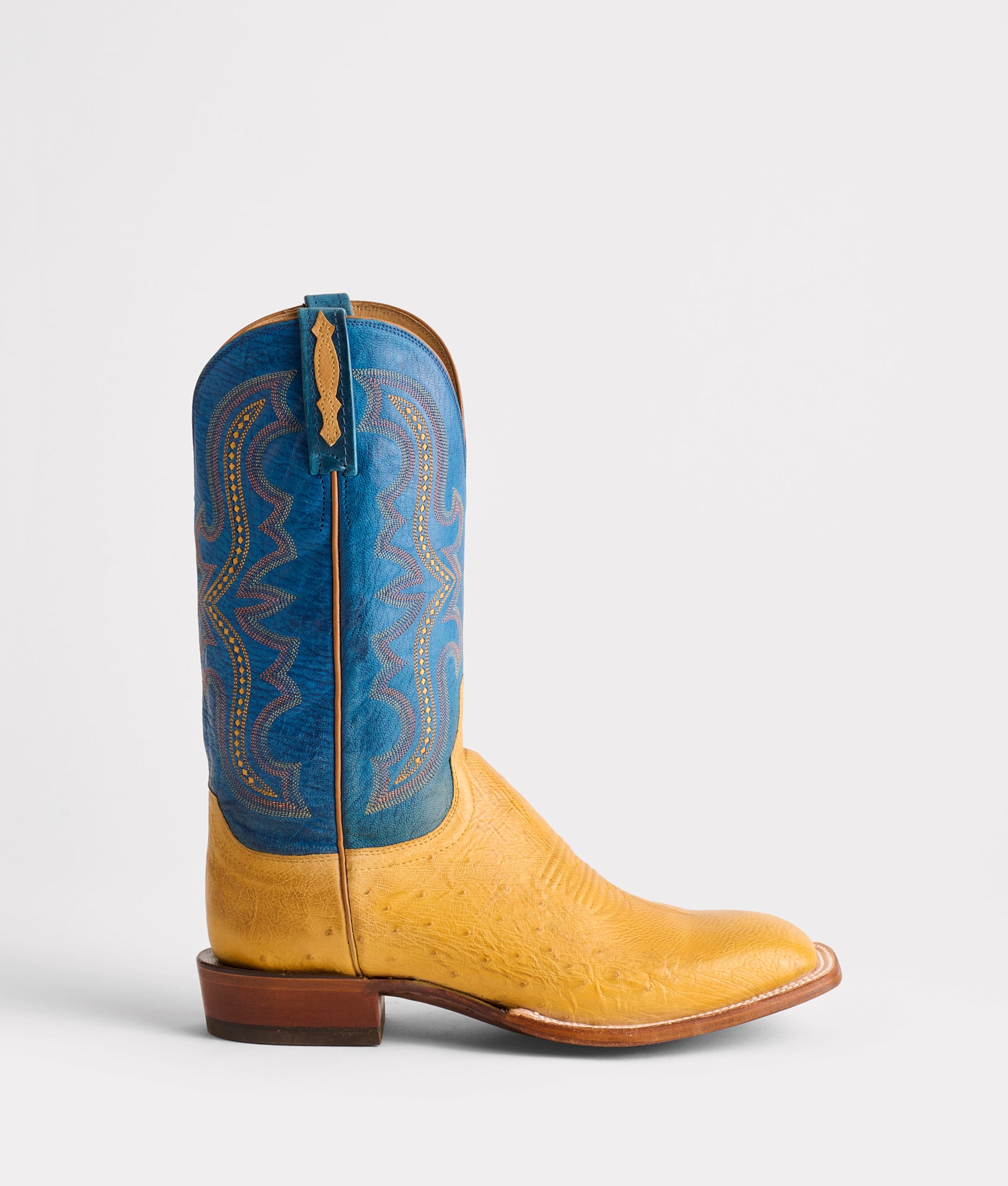 Cecil Exotic :: Saddle