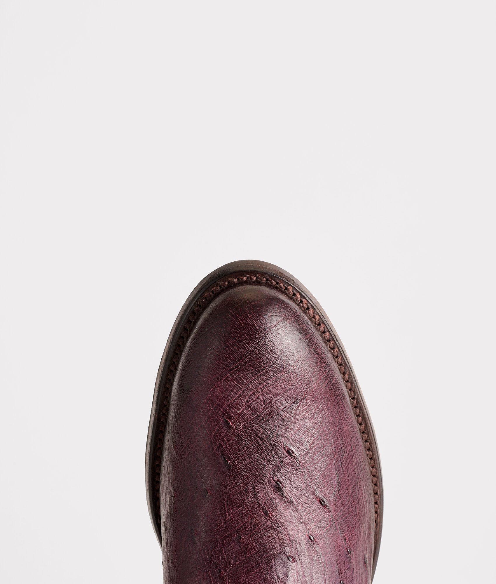 Sunset Exotic :: Black Cherry - Image 6
