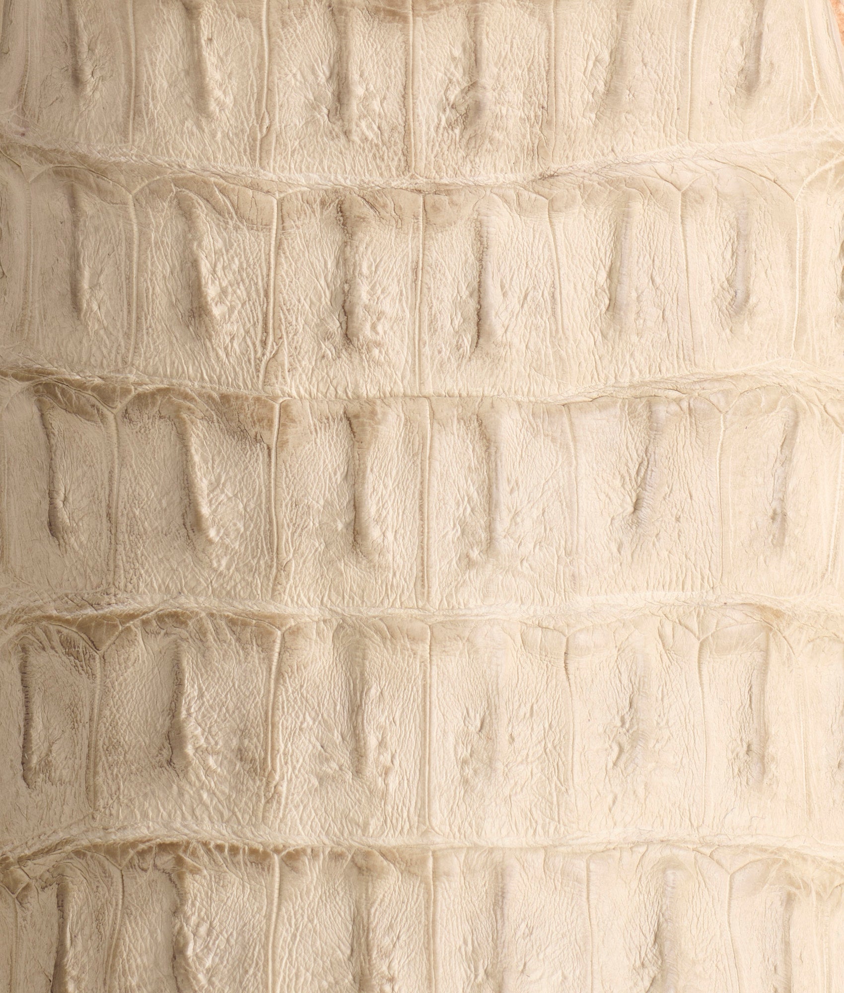 Dale Exotic :: Wheat - Image 8
