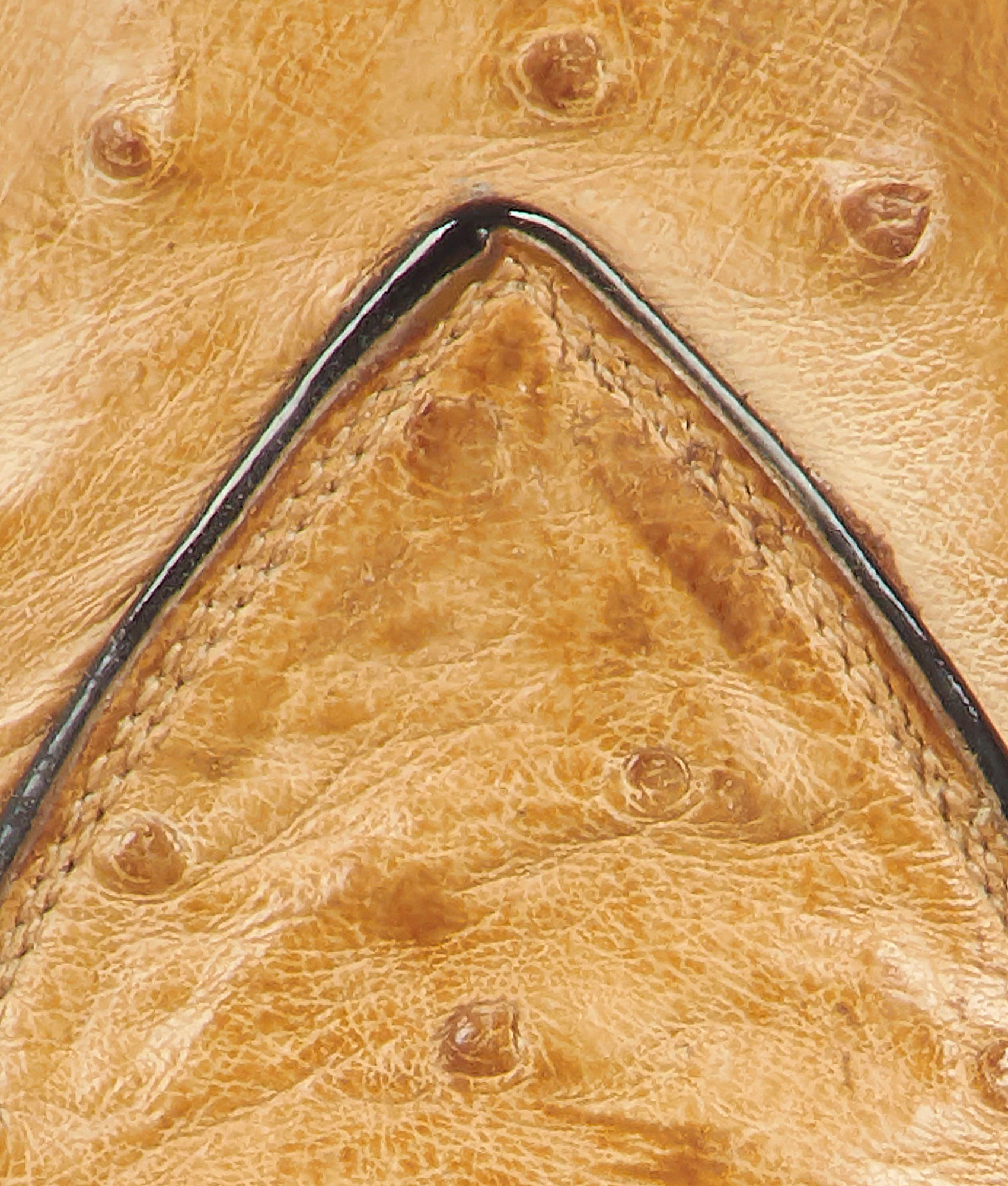 Marylin :: Butterscotch - Image 7
