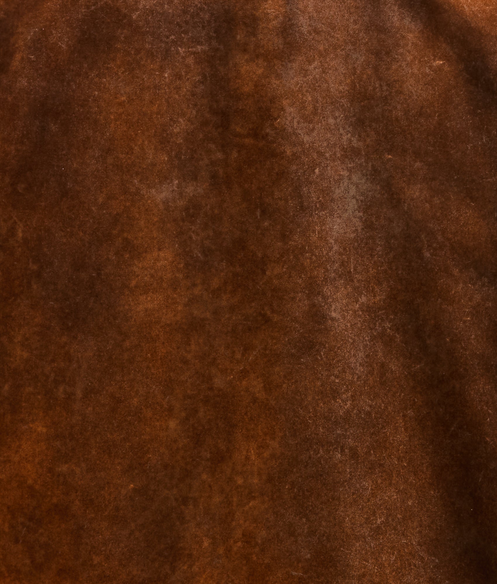 Tennessee Velvet Jacket :: Ginger - Image 10