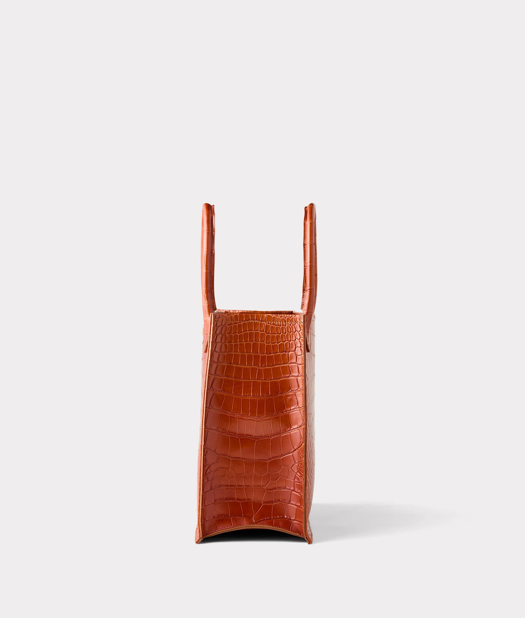 Large Alice Exotic Book Tote :: Honey - Image 4