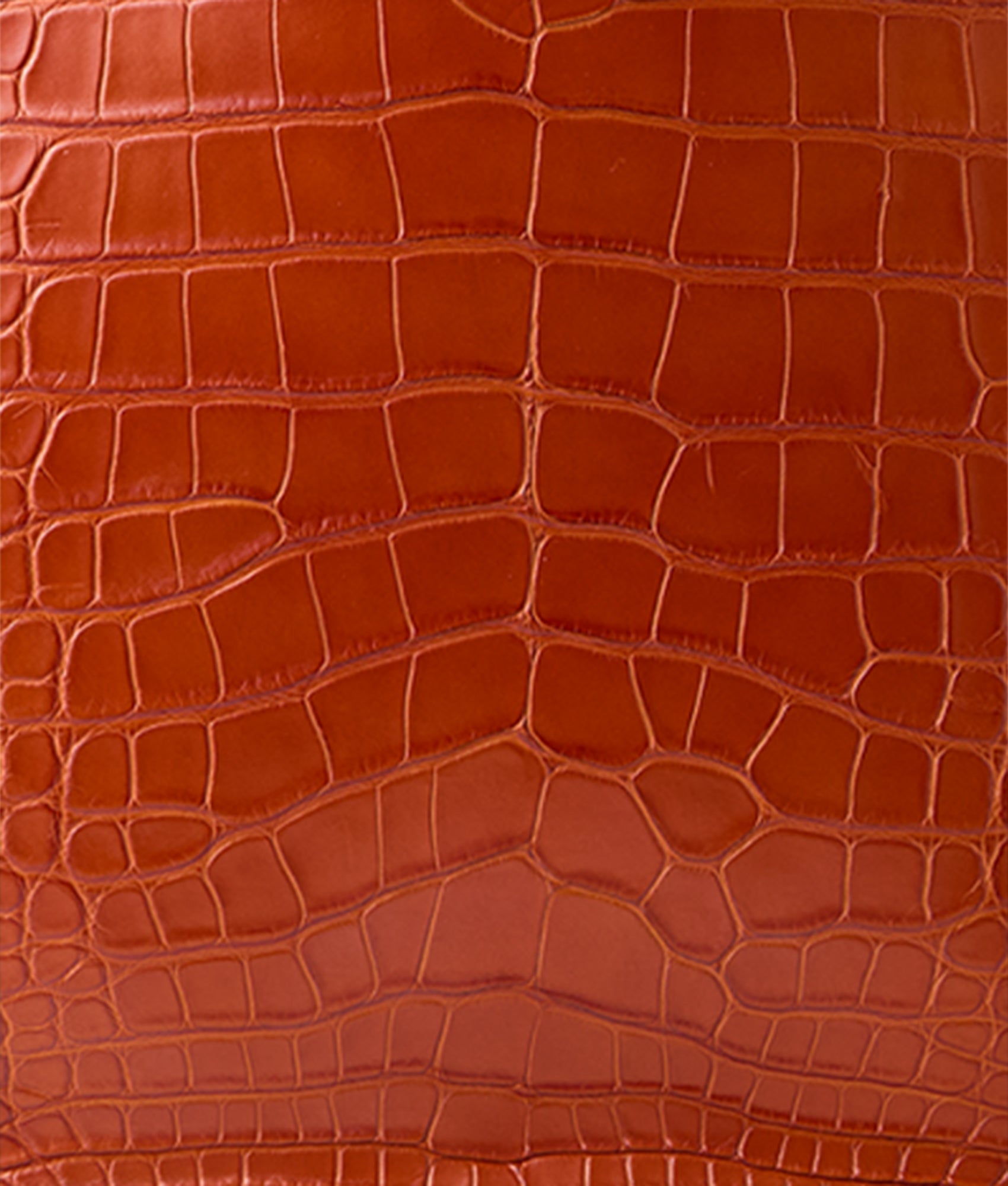 Large Alice Exotic Book Tote :: Honey - Image 8