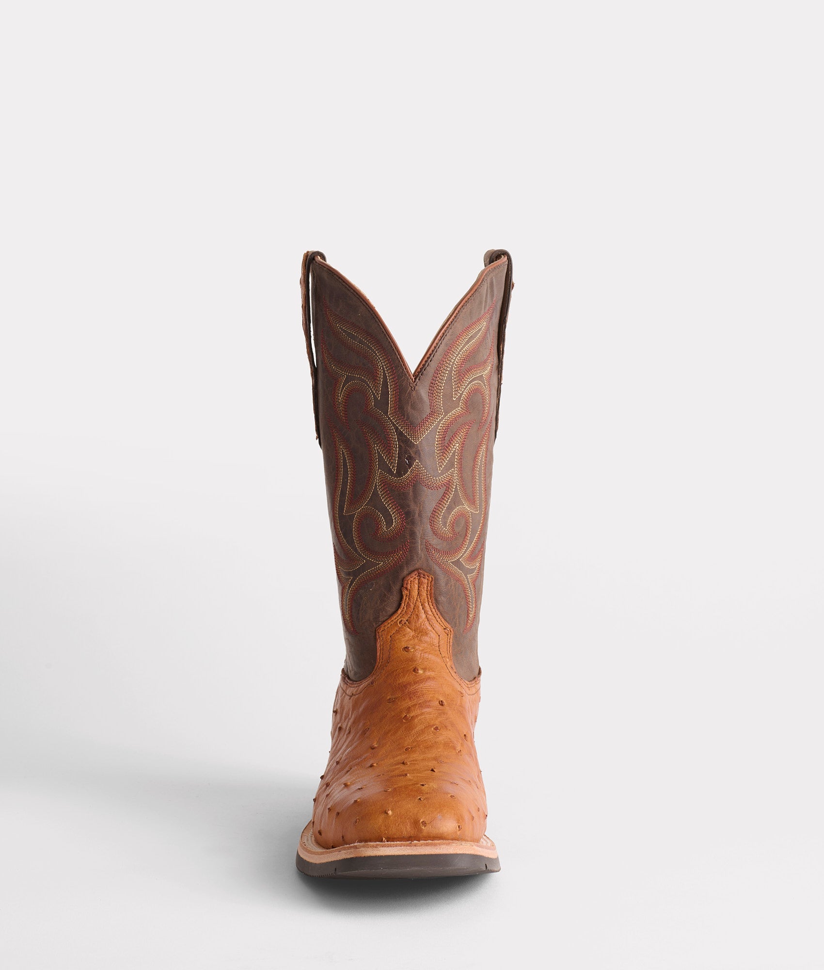 Rowdy Ostrich :: Cognac + Brown - Image 3