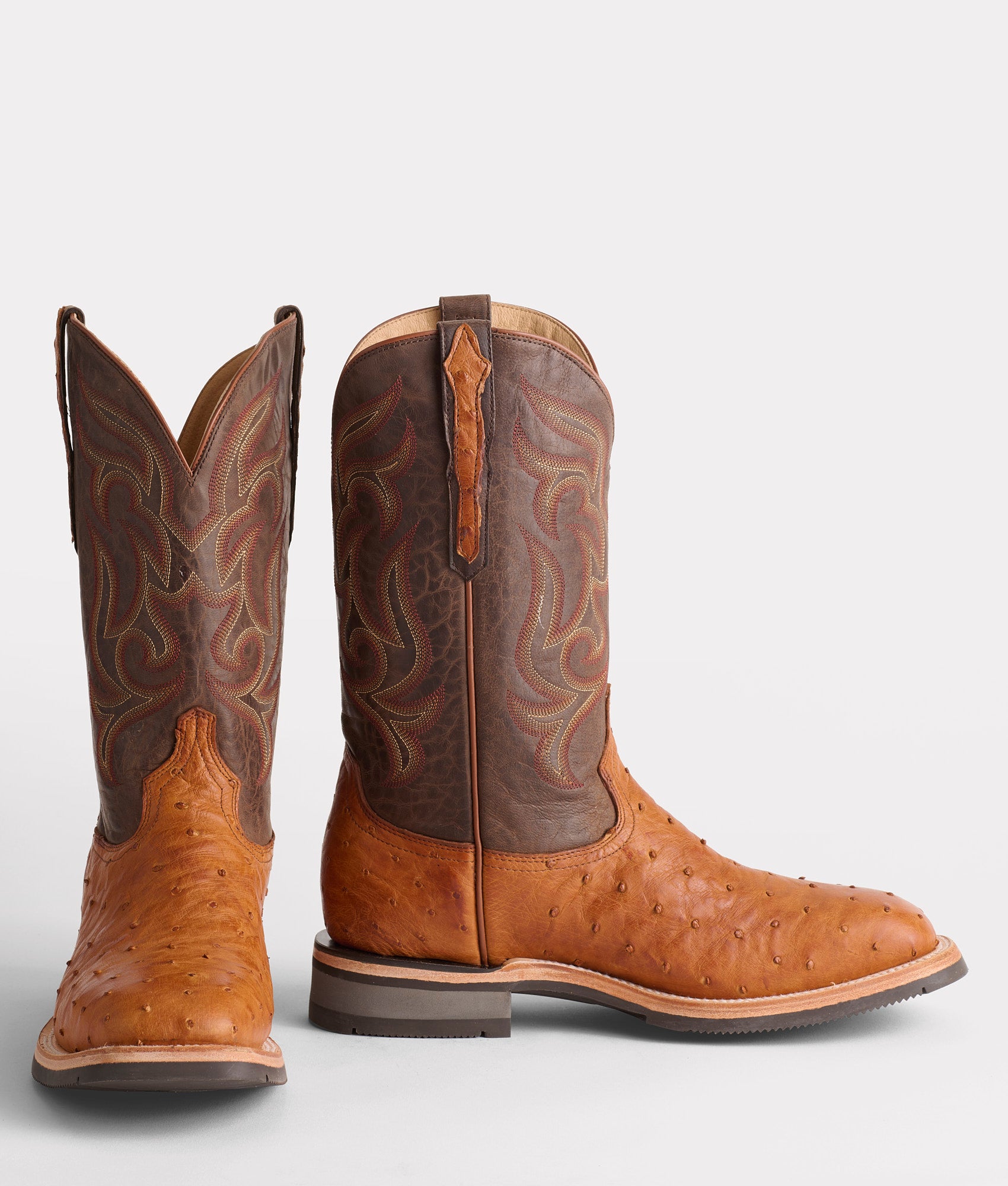 Rowdy Ostrich :: Cognac + Brown - Image 2