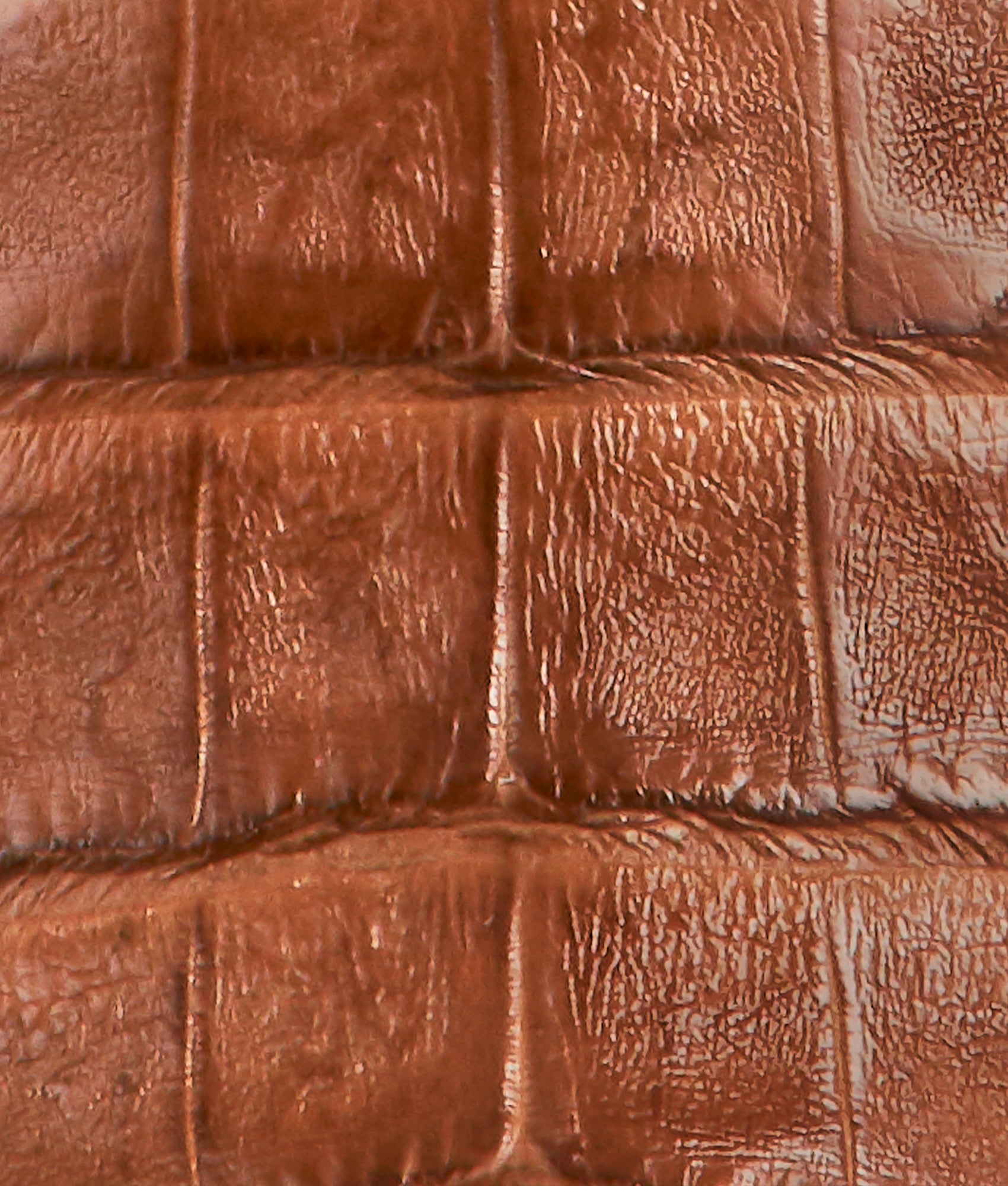 Women's A&M Exotic Barn Boot :: Sienna - Image 8