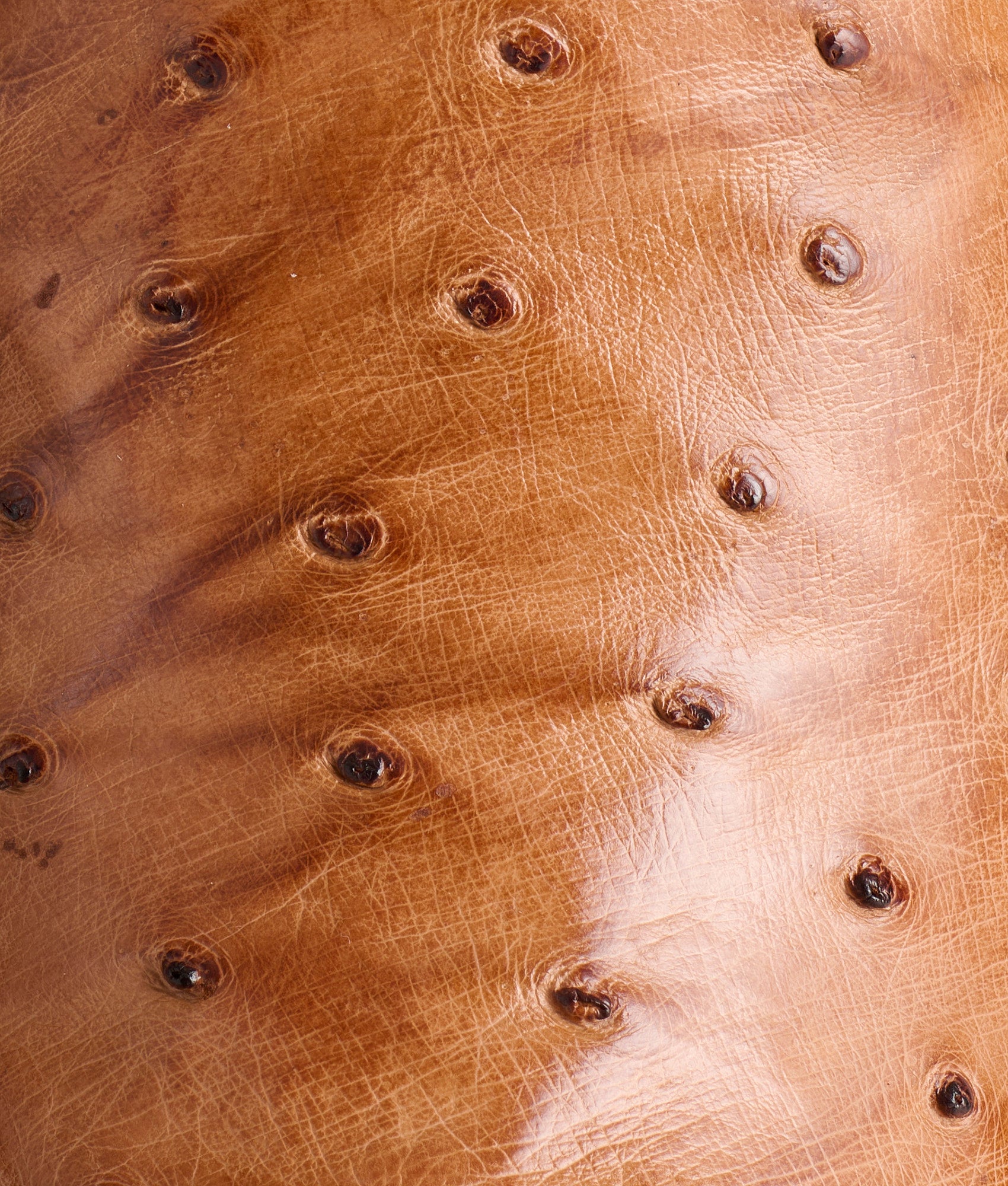 Luke :: Barnwood + Tan - Image 15