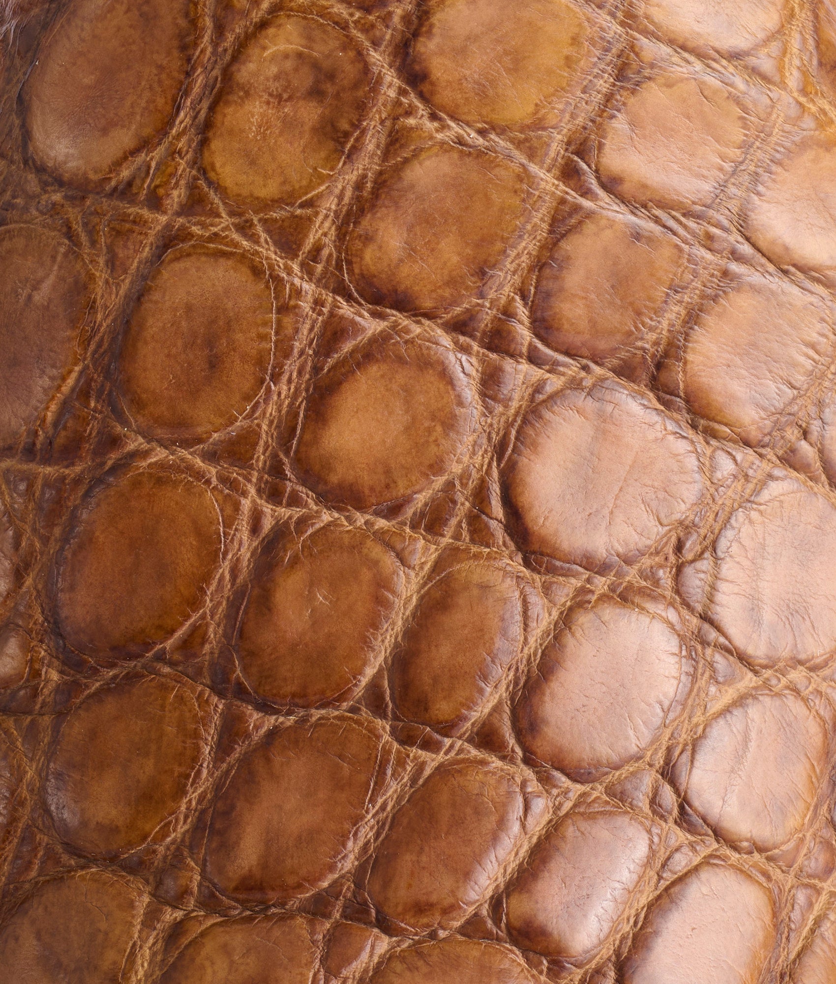 Rio :: Barrel Brown + Tan - Image 8