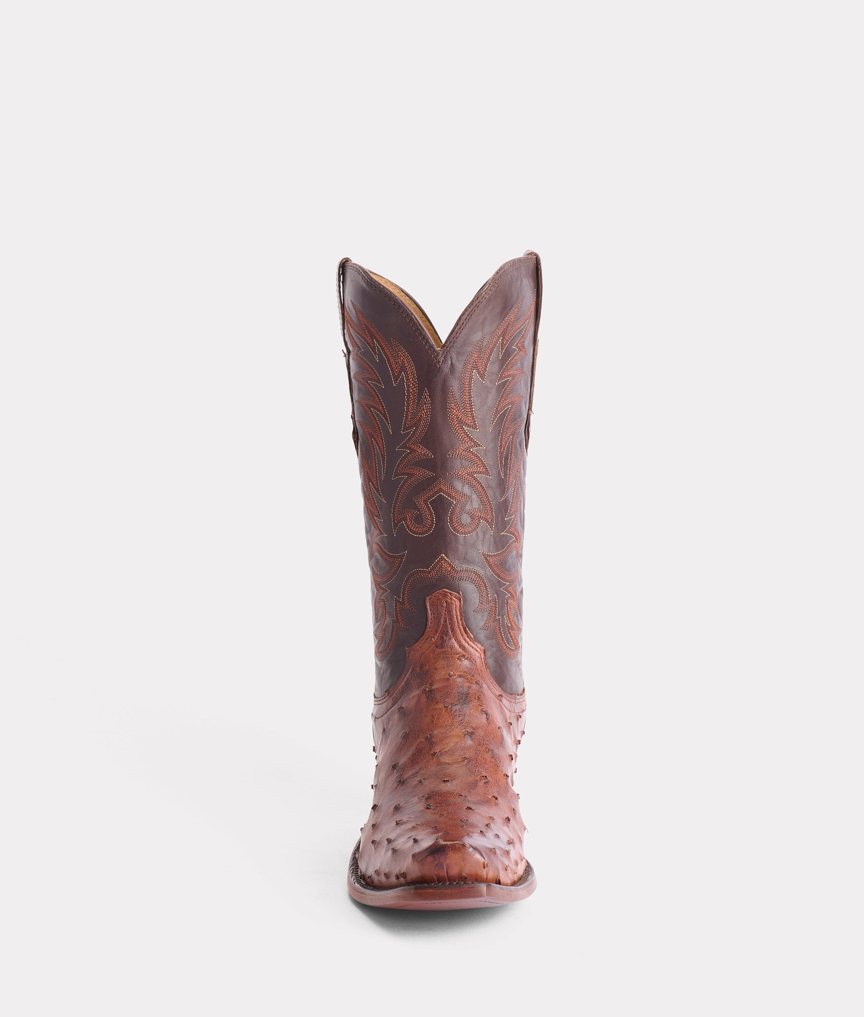 Elgin :: Chocolate - Image 3