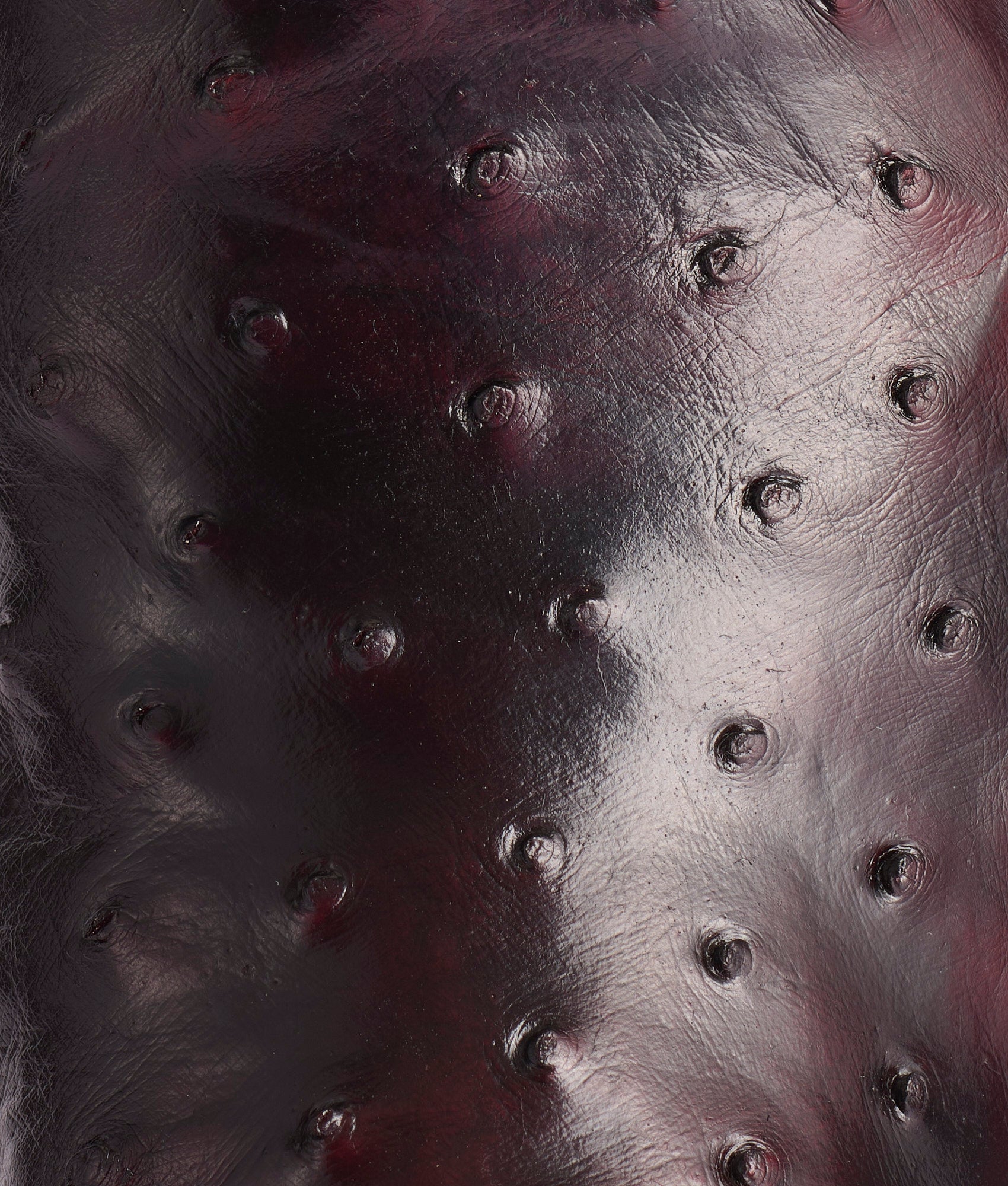 Hudson :: Black Cherry + Black - Image 7