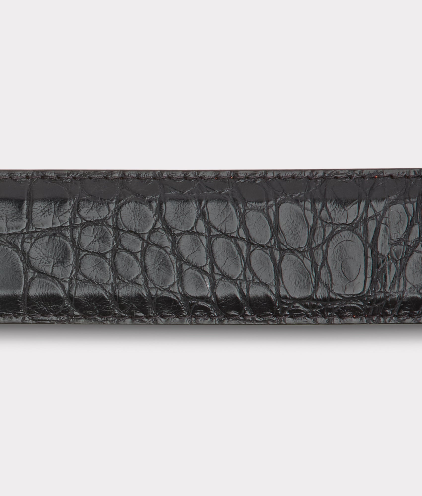 American Alligator :: Black - Image 4