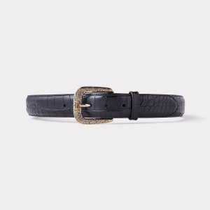 American Alligator :: Black