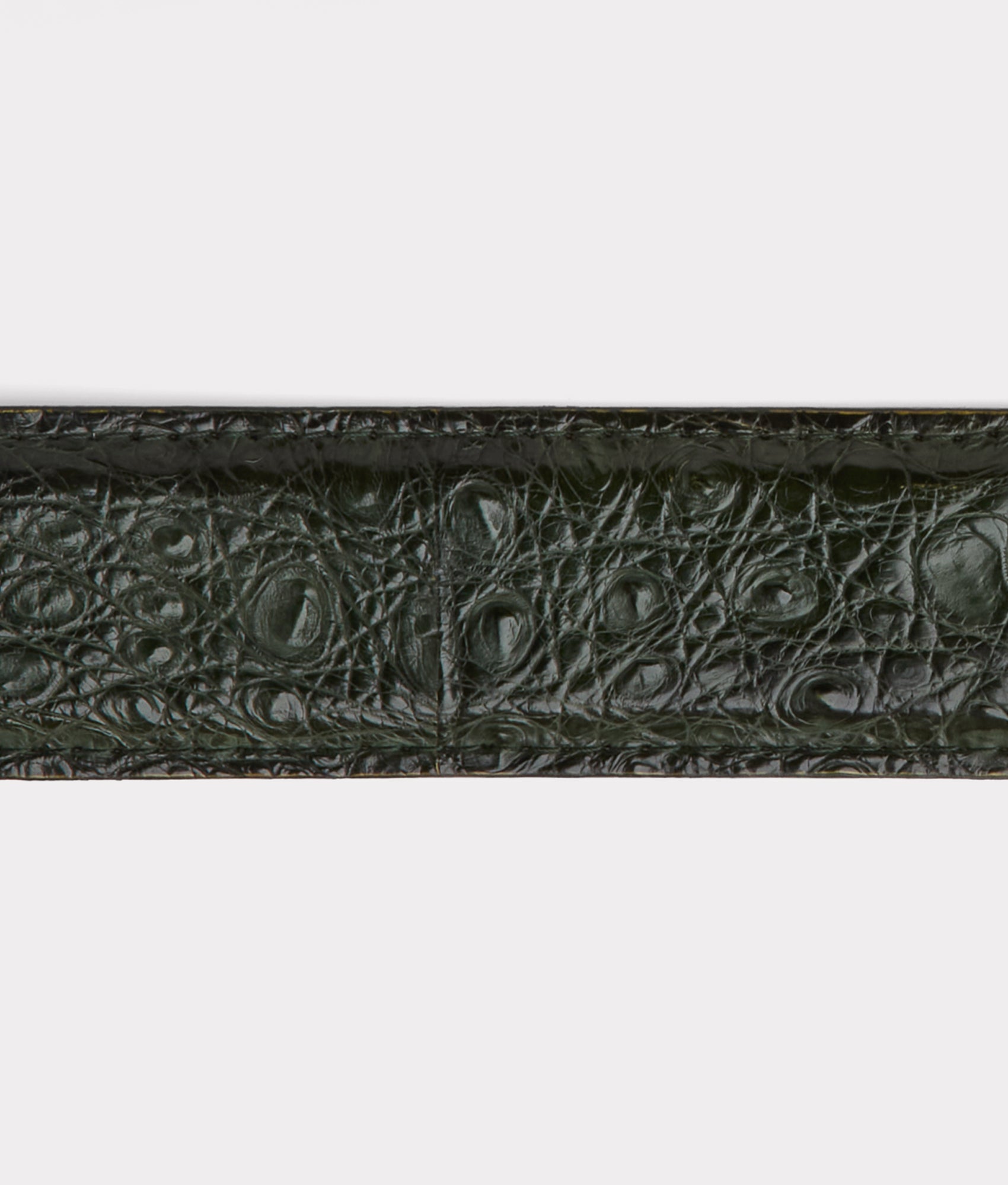 Buckaroo Belt :: Jungle Green - Image 4