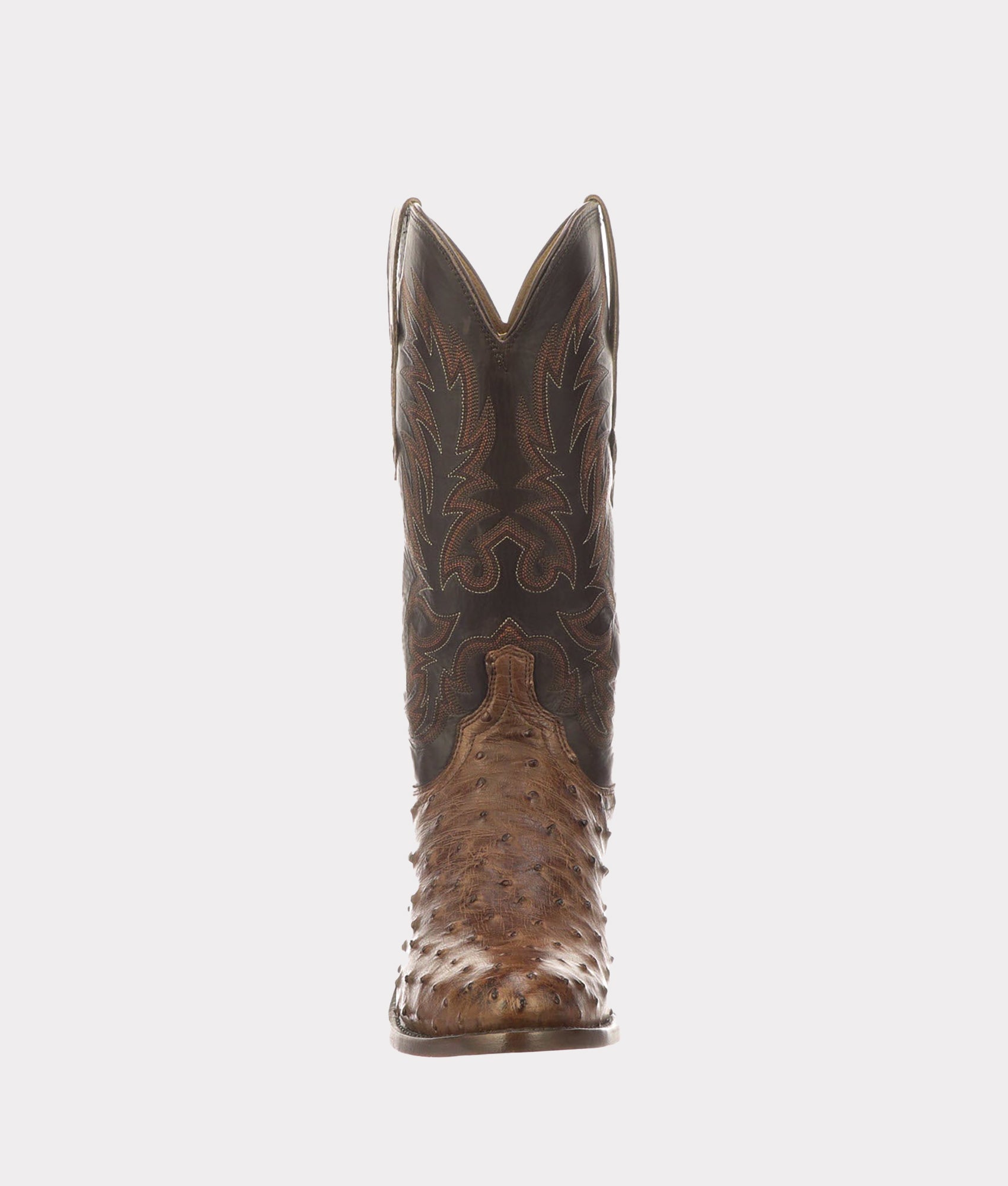 Elgin :: Chocolate - Image 11
