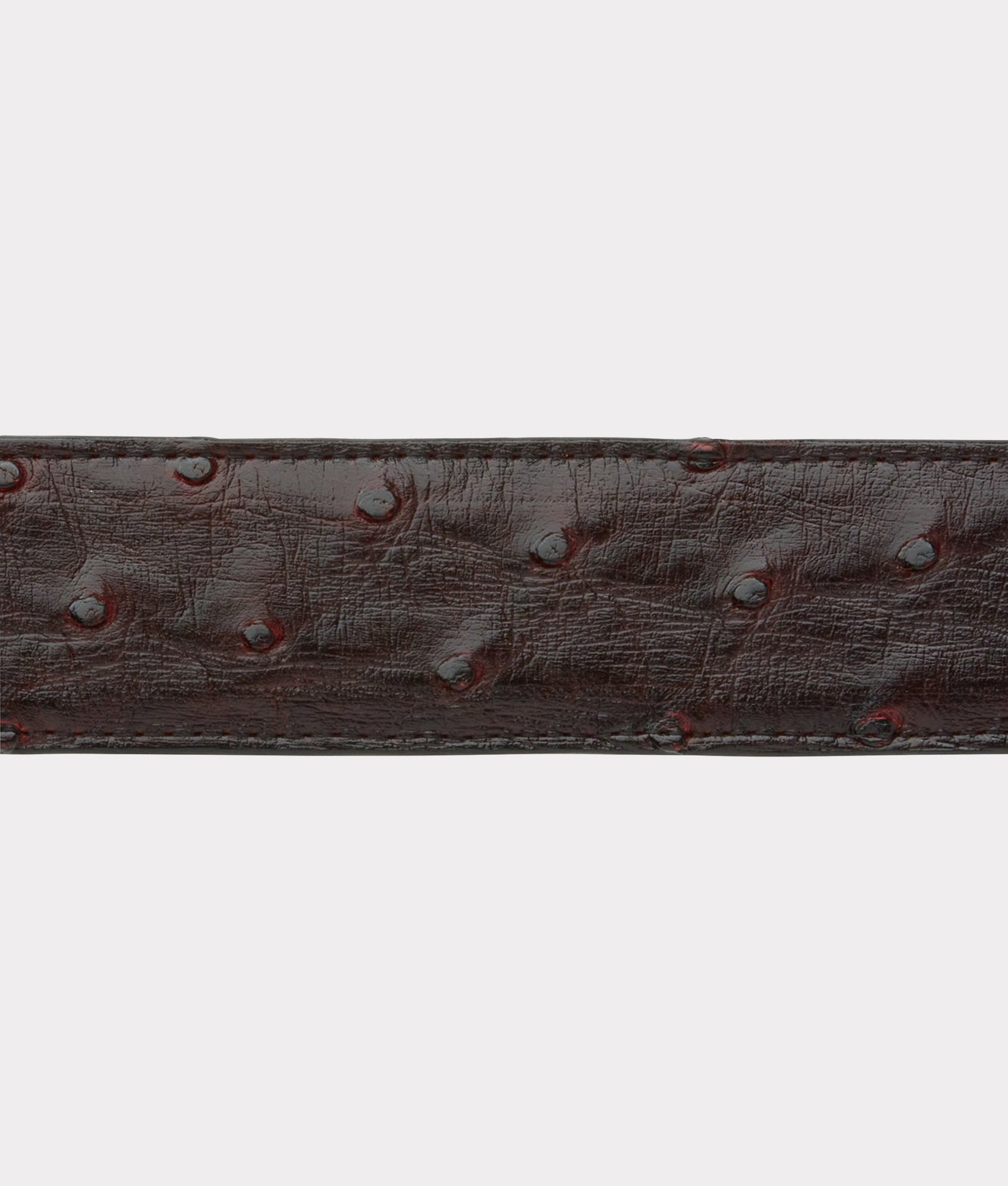 Full Quill Ostrich :: Black Cherry - Image 4