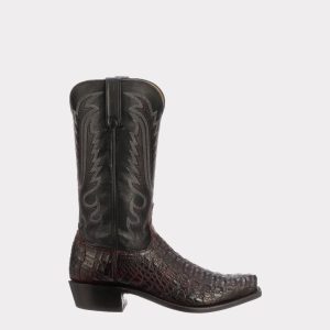 Walter :: Black Cherry + Black